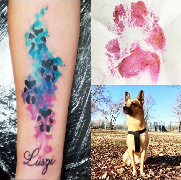 tetkok kutyasoknak tappancs 5