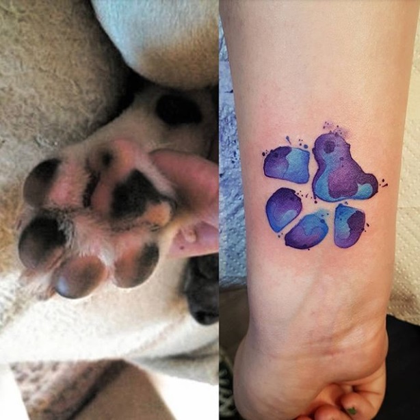 tetkok kutyasoknak tappancs 8