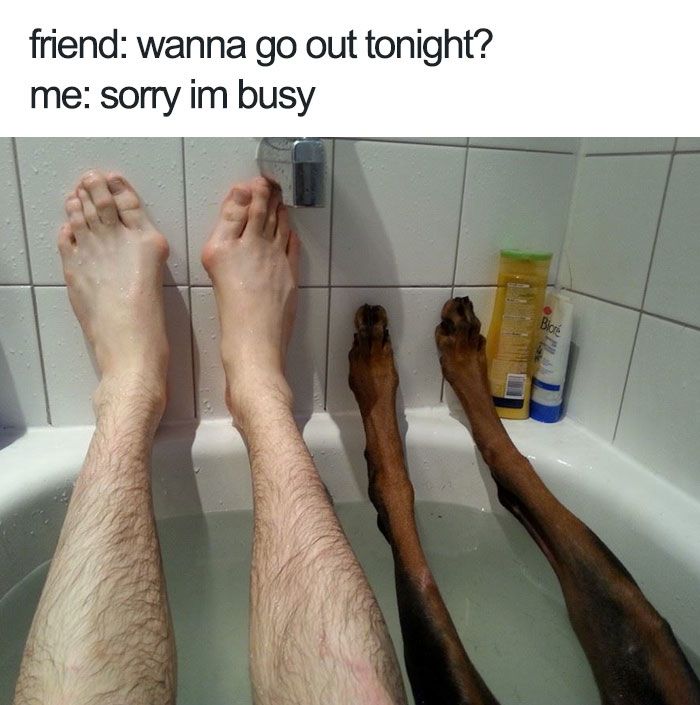 11 kutya aki biztosan jobban el nalad 11