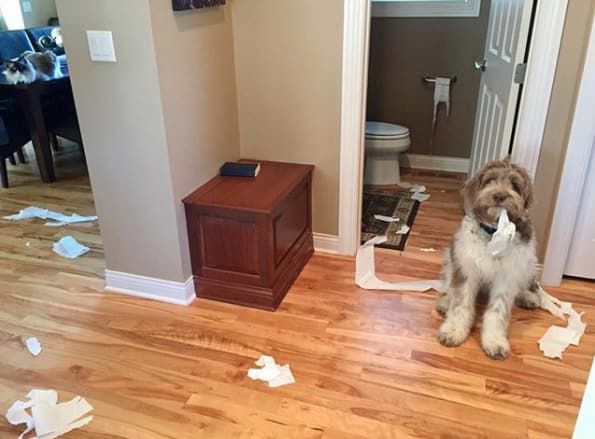 14 izig verig rosszcsont 1