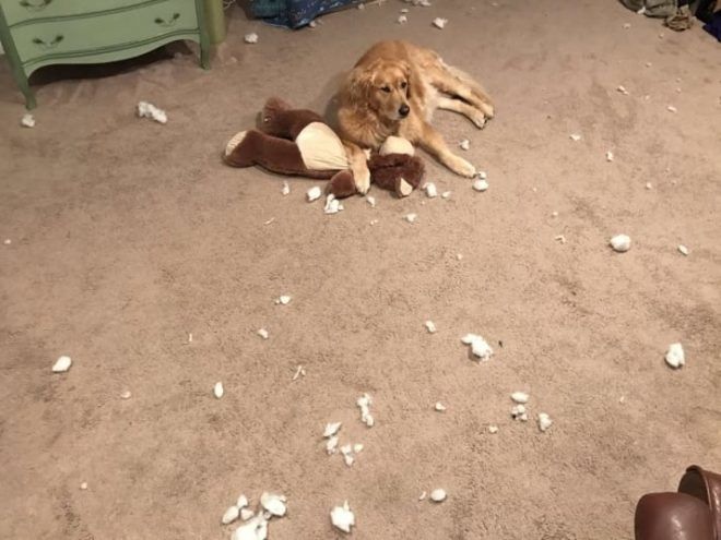 14 izig verig rosszcsont 5