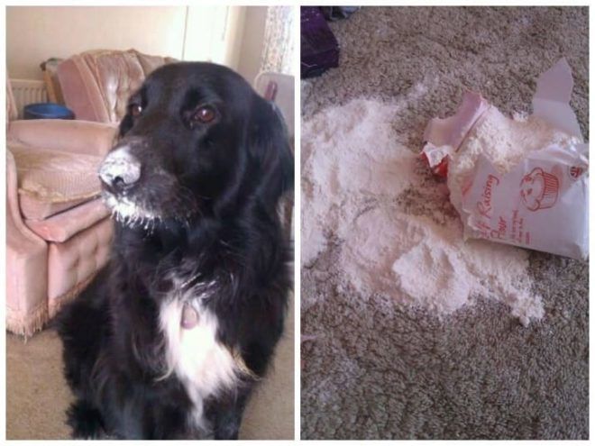 14 izig verig rosszcsont 6