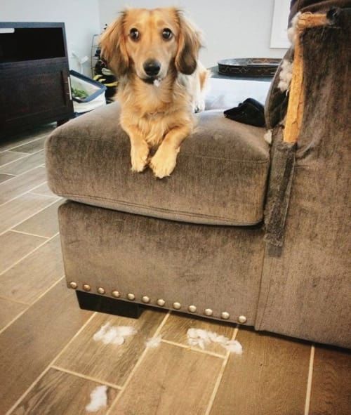 14 izig verig rosszcsont 7