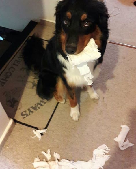 14 izig verig rosszcsont 9