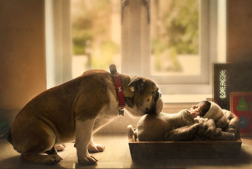 a legszebb kutya baba fotók 2