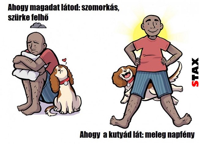 ahogy erzed magad vs amilyennek a kutyad lat 2