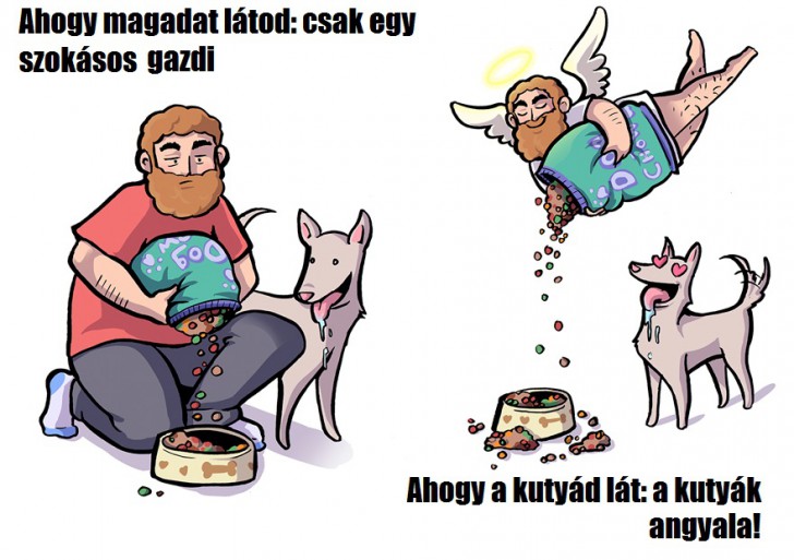 ahogy erzed magad vs amilyennek a kutyad lat 3