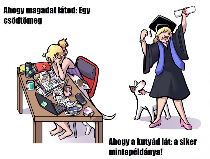 ahogy erzed magad vs amilyennek a kutyad lat 7