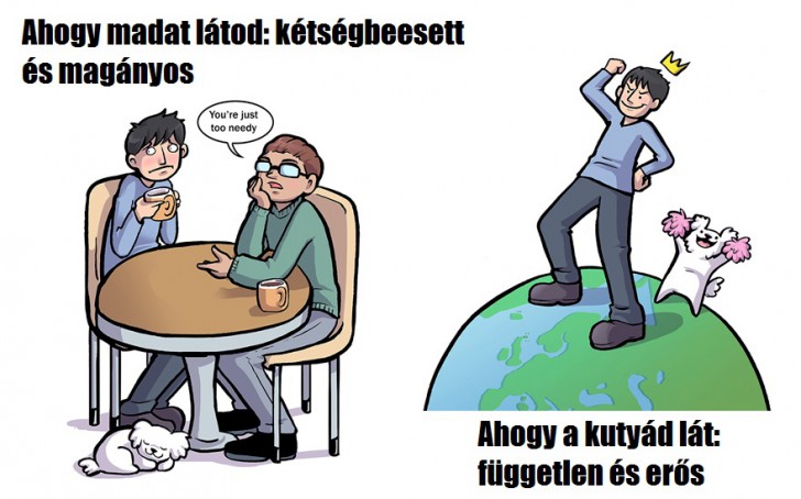 ahogy erzed magad vs amilyennek a kutyad lat 8