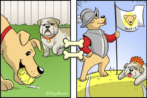 Ahogyan ők látják a világot