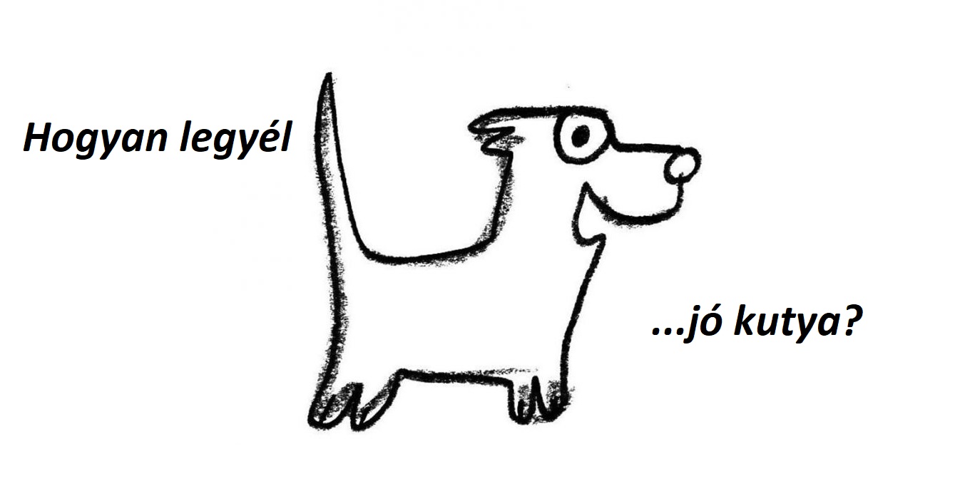 Hogyan legyél jó kutya?