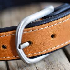 hogyan szoktasd nyakorv1