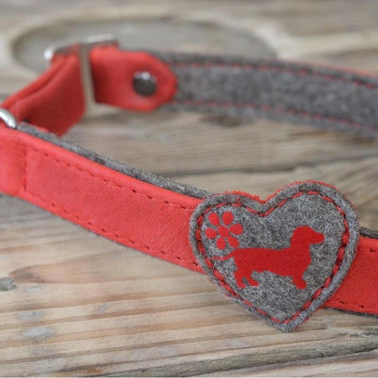 hogyan szoktasd nyakorv2