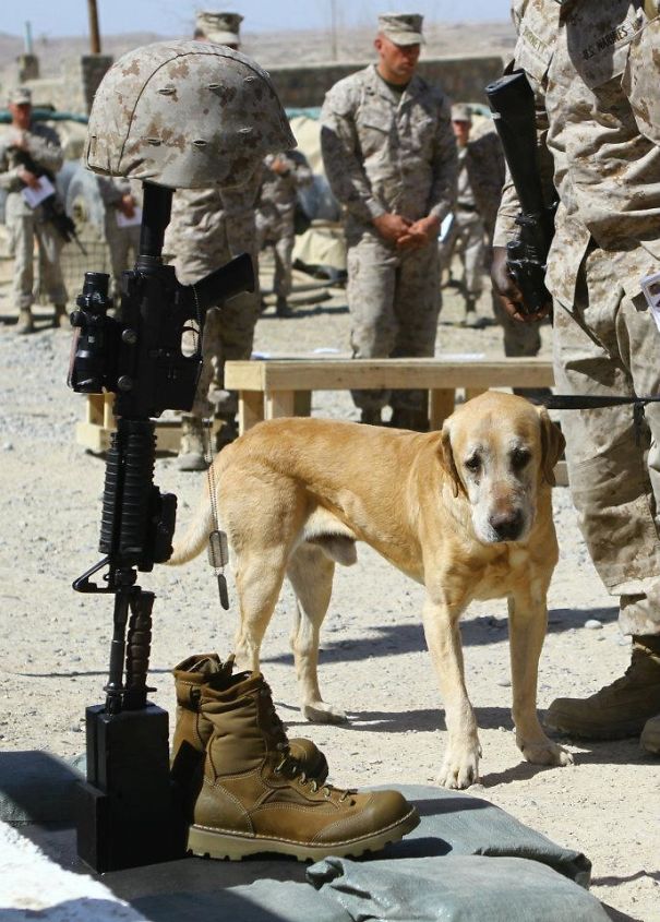 ilyen az elet veluk 5