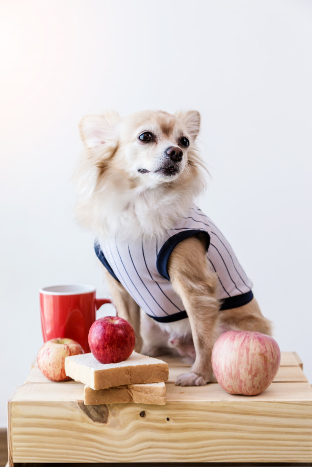 itt az osz terem a kert 1