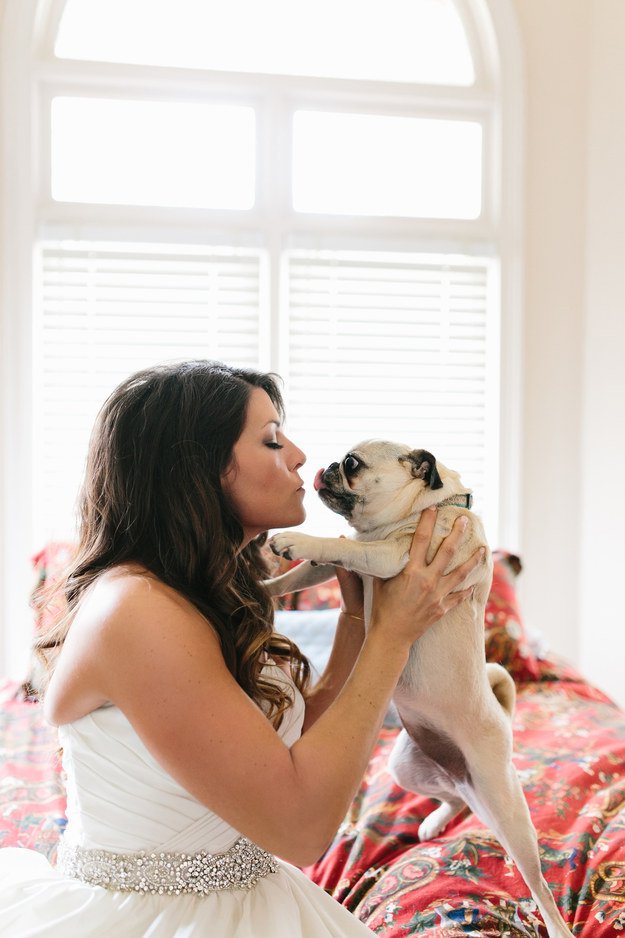 kutyad van es eskuvore keszulsz2