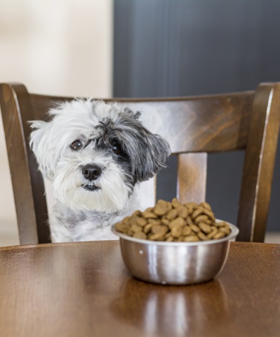 milyen tapanyagokra van szuksege 6