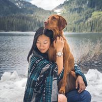 mywhiskeygirl magyarvizsla 19