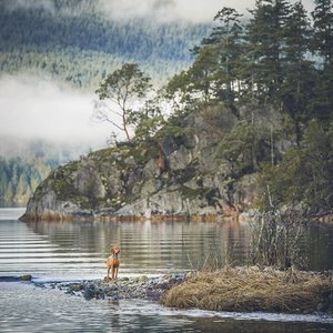 mywhiskeygirl magyarvizsla 7