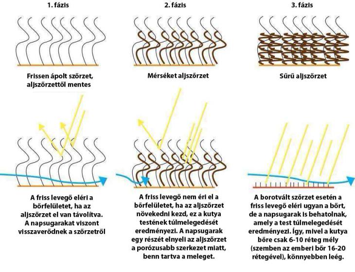 nyirni vagy nem nyirni 1