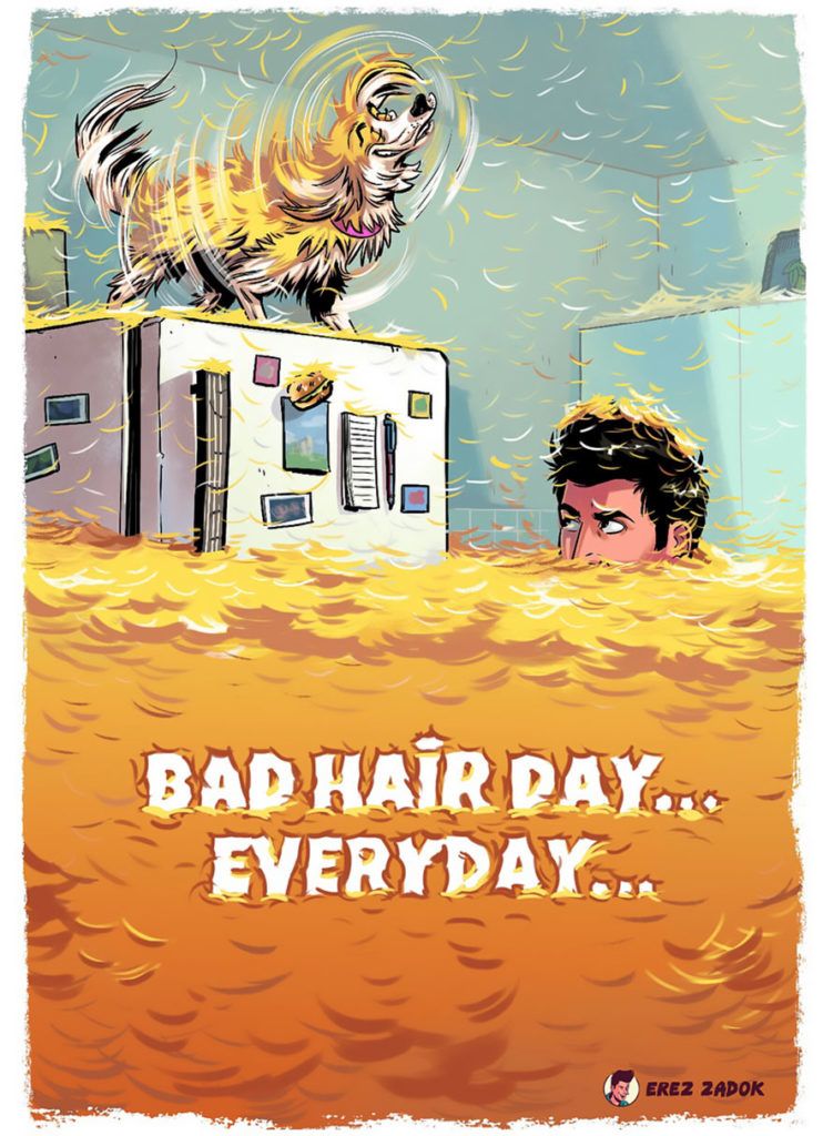 kutyák miért szeretjük őket illusztráció - randevau.hu