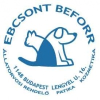 ebcsontbeforr_logo_1623099220