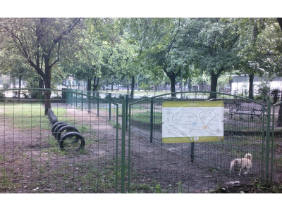 kassk_parki_kutyafuttat