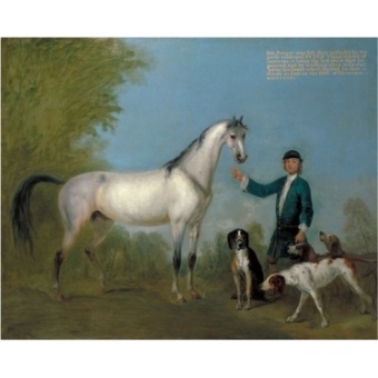 angol-francia_falkavadsz_kop